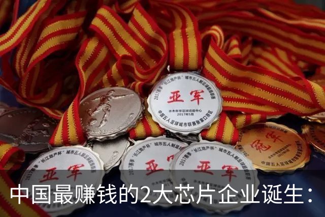 中国最赚钱的2大芯片企业诞生：创造历史！全年利润要超4000亿？